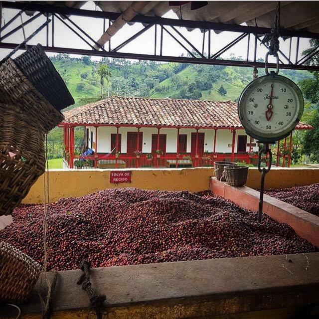 فندق Finca El Ocaso سالنتو المظهر الخارجي الصورة